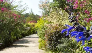 guide tourisme mimizan promenade